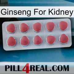 Ginseng For Kidney 18